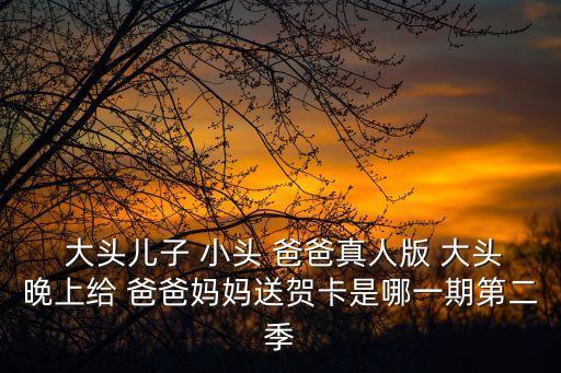  大頭兒子 小頭 爸爸真人版 大頭晚上給 爸爸媽媽送賀卡是哪一期第二季