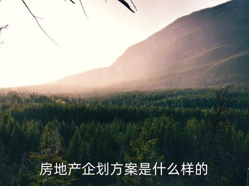 房地產(chǎn)企劃方案是什么樣的