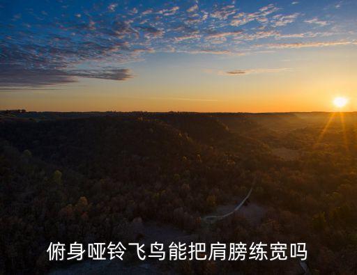 俯身啞鈴飛鳥能把肩膀練寬嗎
