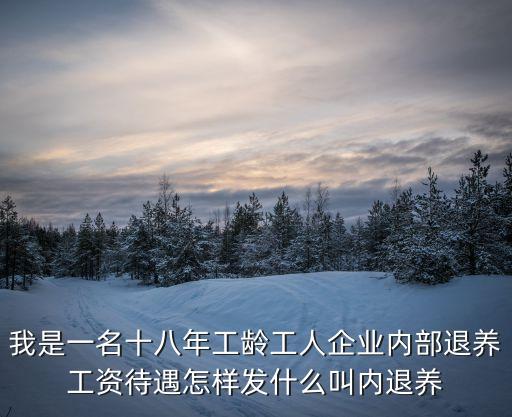 內部退養(yǎng)，我是一名十八年工齡工人企業(yè)內部退養(yǎng)工資待遇怎樣發(fā)什么叫內退養(yǎng)