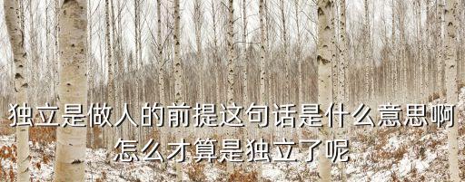 獨(dú)立是做人的前提這句話(huà)是什么意思啊怎么才算是獨(dú)立了呢