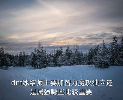  dnf冰結(jié)師主要加智力魔攻獨(dú)立還是屬強(qiáng)哪些比較重要