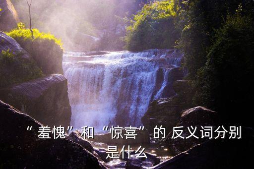 羞愧的反義詞,羞愧和反義詞