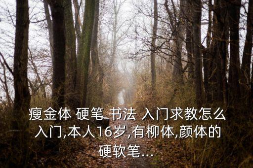  瘦金體 硬筆 書(shū)法 入門求教怎么 入門,本人16歲,有柳體,顏體的硬軟筆...