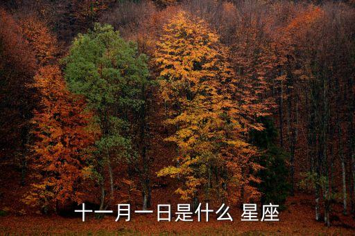 十一月一日是什么 星座