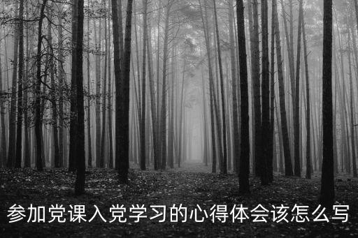 黨課感想，黨課課后感怎么寫