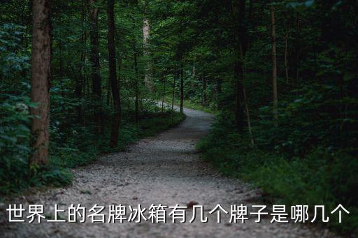 世界上的名牌冰箱有幾個牌子是哪幾個