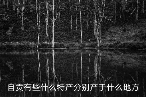 自貢有些什么特產分別產于什么地方