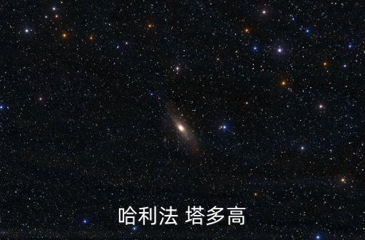 哈利法 塔多高
