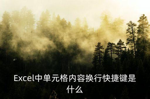 換行快捷鍵，excel里換行的快捷鍵是什么