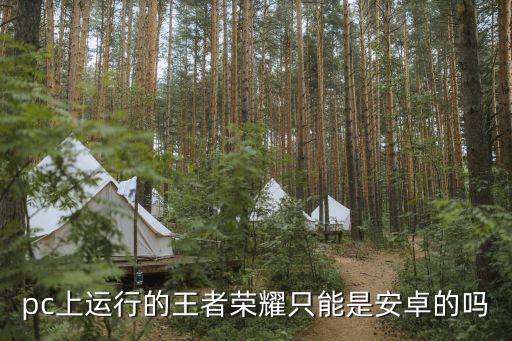 pc上運(yùn)行的王者榮耀只能是安卓的嗎