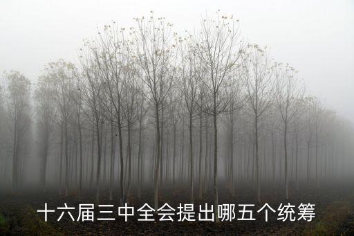 十六屆三中全會(huì)提出哪五個(gè)統(tǒng)籌