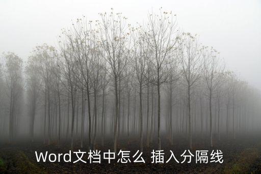 Word文檔中怎么 插入分隔線