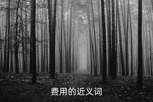 成本的近義詞，費用的近義詞