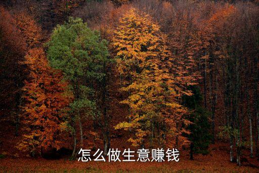 怎么做生意賺錢