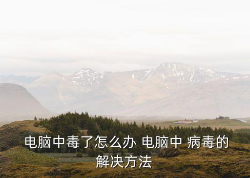  電腦中毒了怎么辦 電腦中 病毒的解決方法