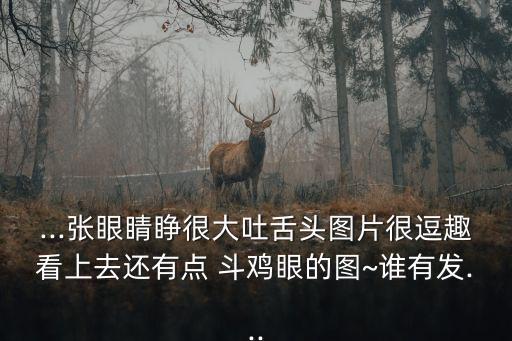 斗雞眼圖片,食草動物把脖子稍微轉一下就可360度射眼睛