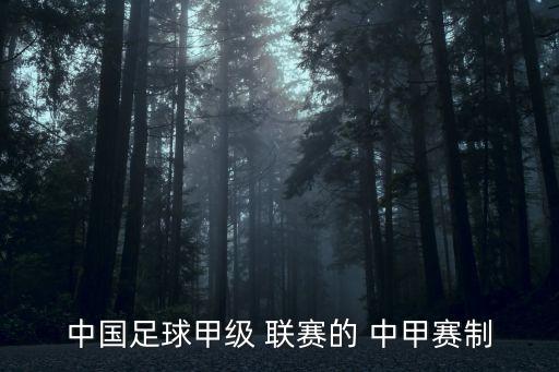 中甲聯賽,中甲聯賽:凱爾渦渦足球獲國際足聯認證為特殊用球
