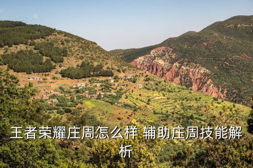 莊周怎么玩，在玩語c的時候怎么扮演好王者榮耀里莊周的角色求性格分析和皮氣