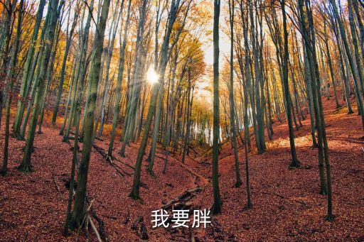 相撲運動員圖片，我要胖