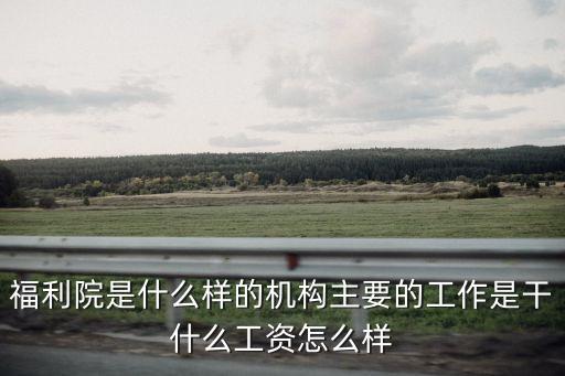 福利所，什么是社會(huì)福利機(jī)構(gòu)社會(huì)福利機(jī)構(gòu)作為送養(yǎng)人