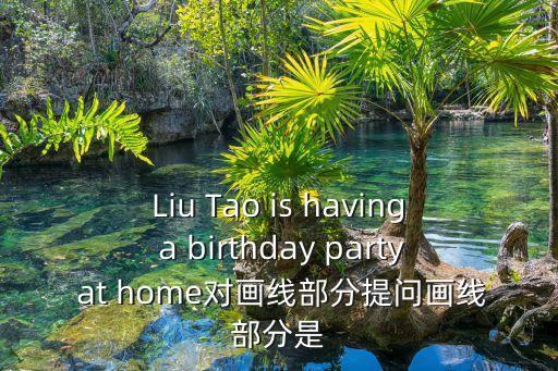 生日派對怎么畫，Liu Tao is having a birthday party at home對畫線部分提問畫線部分是