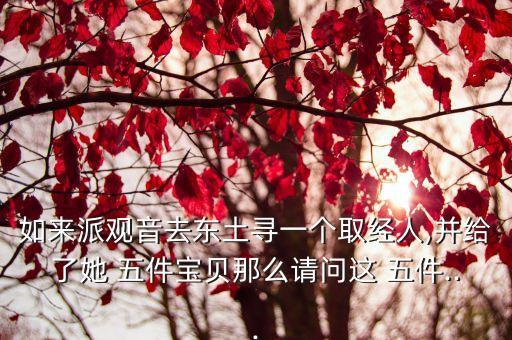 人的五件寶是什么,我和你在一起五件寶貝亮相