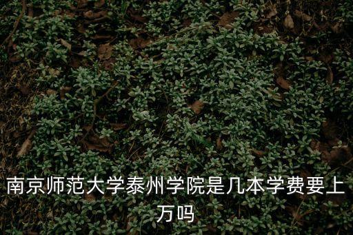 南京師范大學泰州學院是幾本學費要上萬嗎