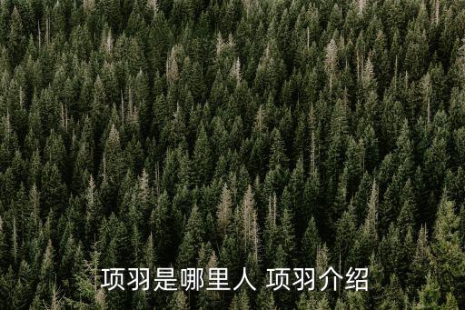  項羽是哪里人 項羽介紹
