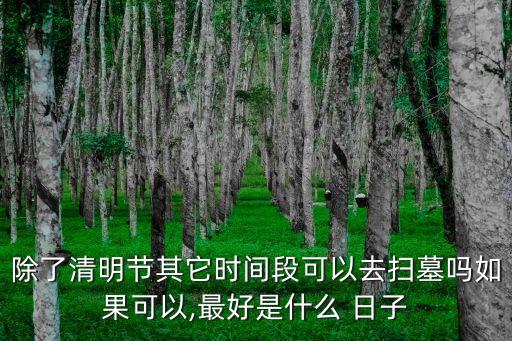 上墳的日子有哪些,中國(guó)各地形成彈性作息習(xí)俗方便人們掃墓祭祖
