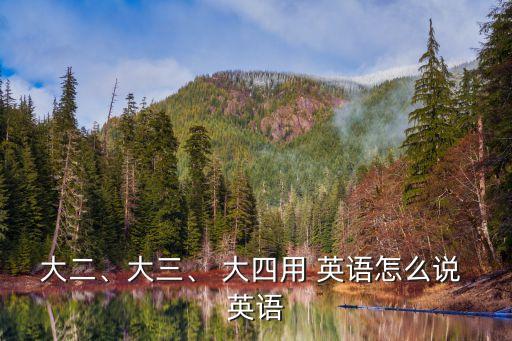 大四學(xué)生英語,大一新生:大二大三大四