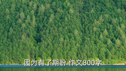 因?yàn)橛辛似谂危驗(yàn)橛辛似谂?00字