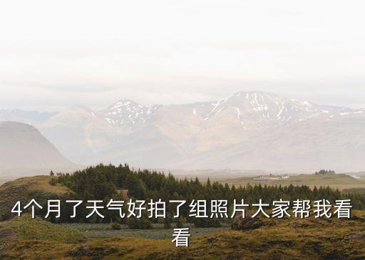 4個(gè)月了天氣好拍了組照片大家?guī)臀铱纯? class=