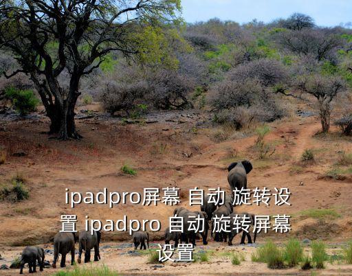 ipad自動旋轉(zhuǎn),ipad如何關閉屏幕旋轉(zhuǎn)?