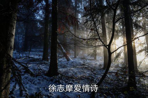 徐志摩的愛情，徐志摩的愛情詩