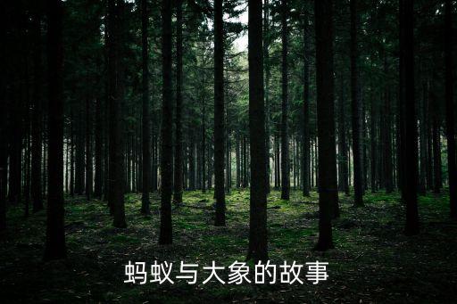 螞蟻與大象的故事