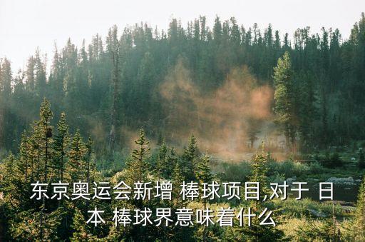 日本棒球,中國(guó)棒球隊(duì)重返奧運(yùn)大家庭男女老少都瘋了