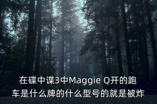 加拉多，在碟中諜3中Maggie Q開的跑車是什么牌的什么型號的就是被炸