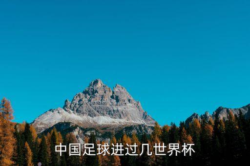 中國(guó)足球進(jìn)過(guò)幾世界杯