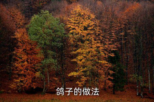 鴿子做法,鵪鶉鴿子湯鵪鶉可和白鴿一起煮食材準備齊全