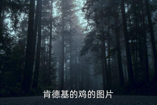小雞的圖片，肯德基的雞的圖片