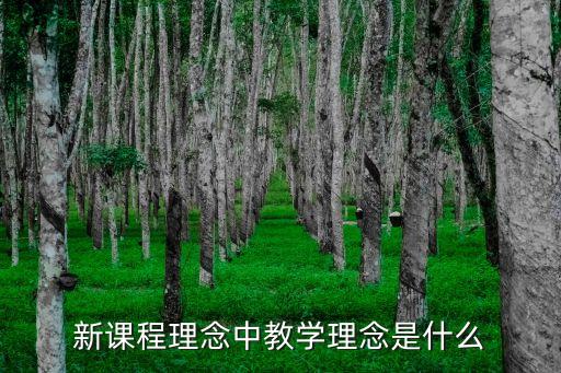 教師教學(xué)理念，幼兒園教師的教學(xué)理念怎么寫