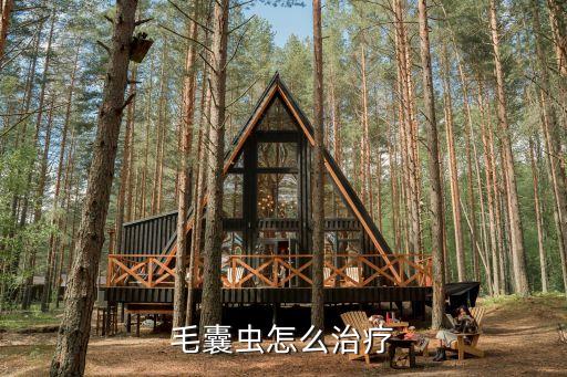 毛囊蟲，毛囊蟲怎么治療