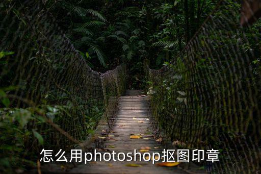 印章?lián)笀D，低像素的印章怎么摳圖