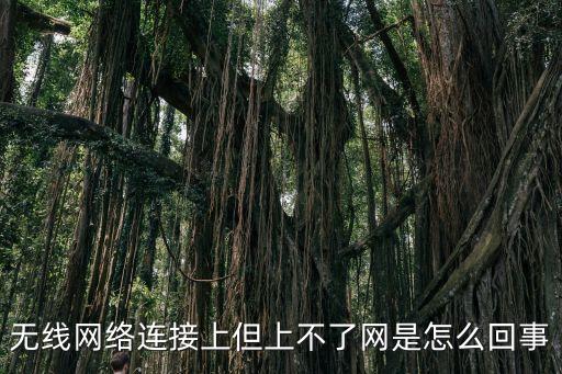 無線網(wǎng)連接上卻上不了網(wǎng)怎么回事，無線網(wǎng)絡(luò)連接上但上不了網(wǎng)是怎么回事