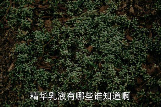 精華乳液，精華乳液哪個好求大神指導