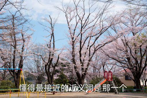 懂得最接近的近義詞是那一個(gè)