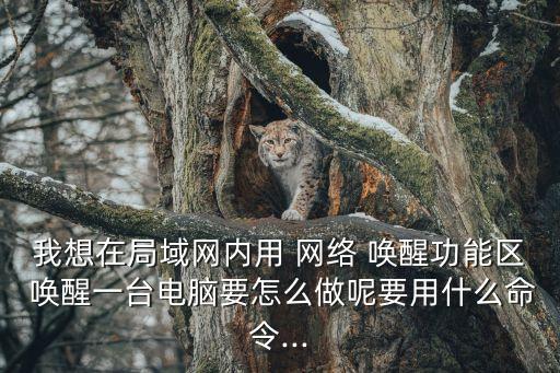 網(wǎng)絡(luò)喚醒,bei喚醒machine網(wǎng)絡(luò)地址須確保正常準(zhǔn)確