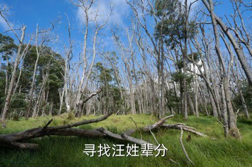 汪氏家譜,炎黃子孫之后的中國汪氏家族