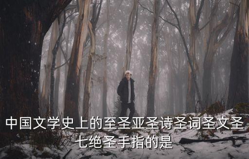 中國文學史上的至圣亞圣詩圣詞圣文圣七絕圣手指的是